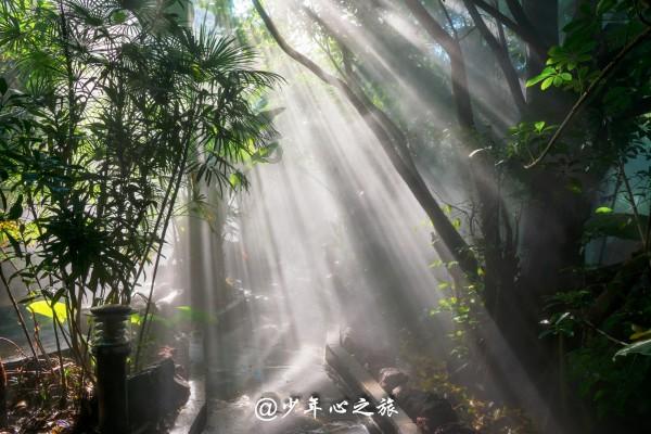 学海无涯,知识星球如果时光倒流,你最想对刚入大学的自己说些什么?邀你共赴知识盛宴