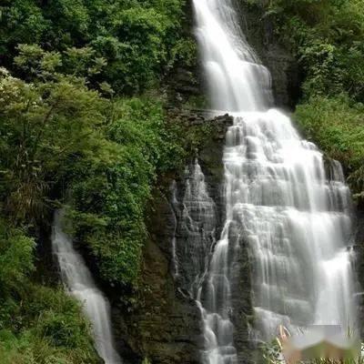 鸡翅新吃法，加入60克盐焗鸡粉，咸香入味，做法简单，味道鲜美游戏画面